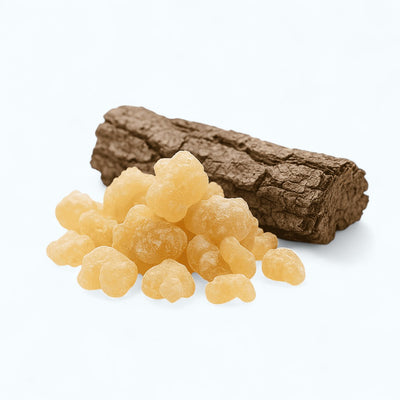 Boswellia